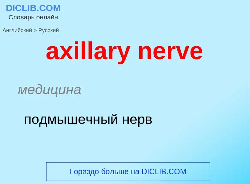 ¿Cómo se dice axillary nerve en Ruso? Traducción de &#39axillary nerve&#39 al Ruso