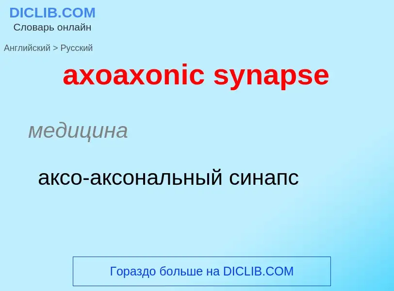 ¿Cómo se dice axoaxonic synapse en Ruso? Traducción de &#39axoaxonic synapse&#39 al Ruso