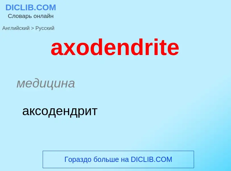 ¿Cómo se dice axodendrite en Ruso? Traducción de &#39axodendrite&#39 al Ruso