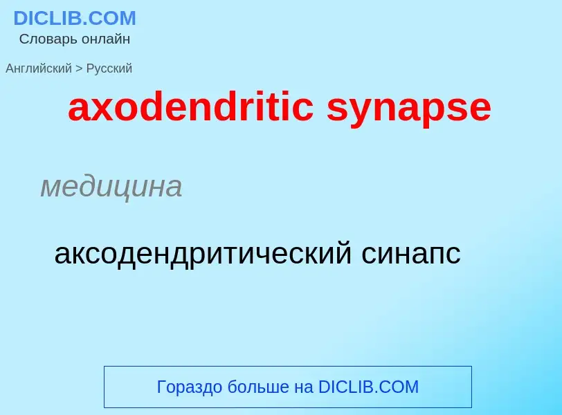 ¿Cómo se dice axodendritic synapse en Ruso? Traducción de &#39axodendritic synapse&#39 al Ruso