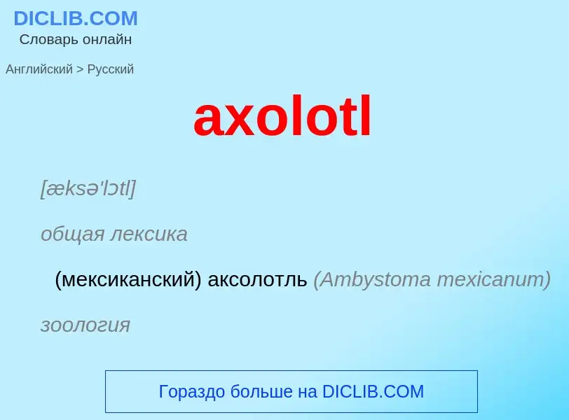 Как переводится axolotl на Русский язык