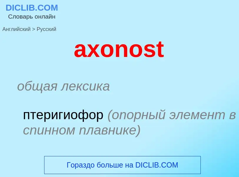 ¿Cómo se dice axonost en Ruso? Traducción de &#39axonost&#39 al Ruso