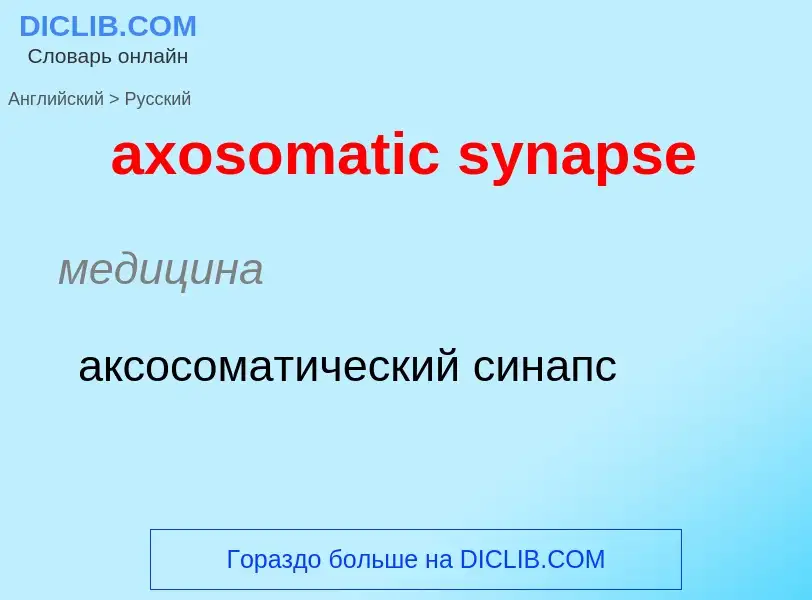 Μετάφραση του &#39axosomatic synapse&#39 σε Ρωσικά