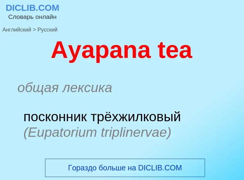 ¿Cómo se dice Ayapana tea en Ruso? Traducción de &#39Ayapana tea&#39 al Ruso