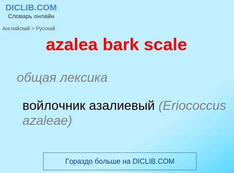 Como se diz azalea bark scale em Russo? Tradução de &#39azalea bark scale&#39 em Russo