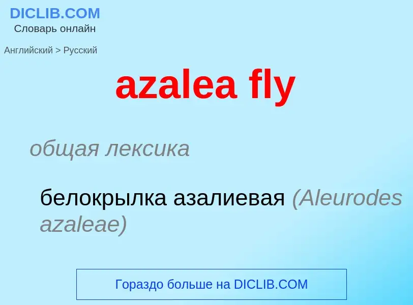 Μετάφραση του &#39azalea fly&#39 σε Ρωσικά