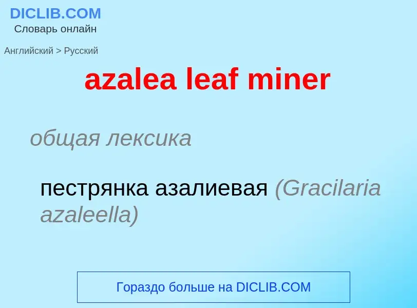 Μετάφραση του &#39azalea leaf miner&#39 σε Ρωσικά