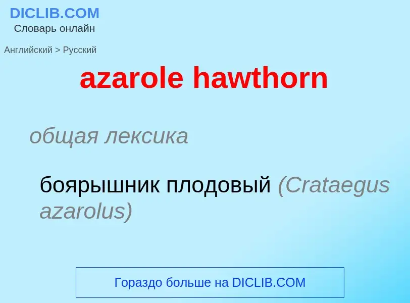 Как переводится azarole hawthorn на Русский язык