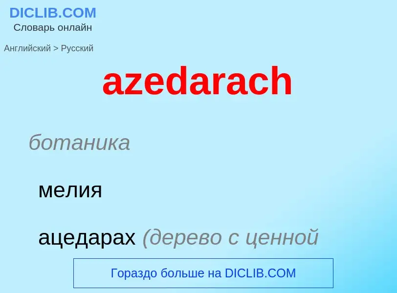 Как переводится azedarach на Русский язык