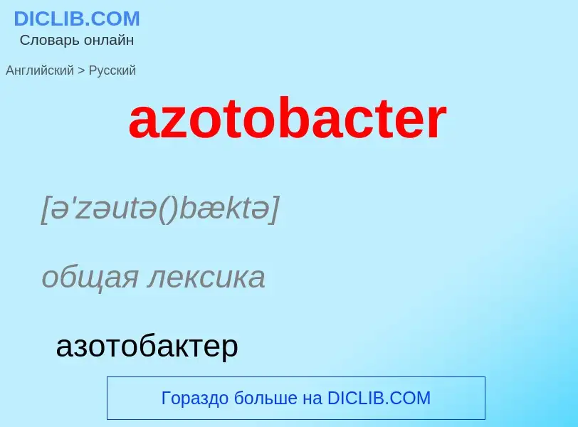 Как переводится azotobacter на Русский язык