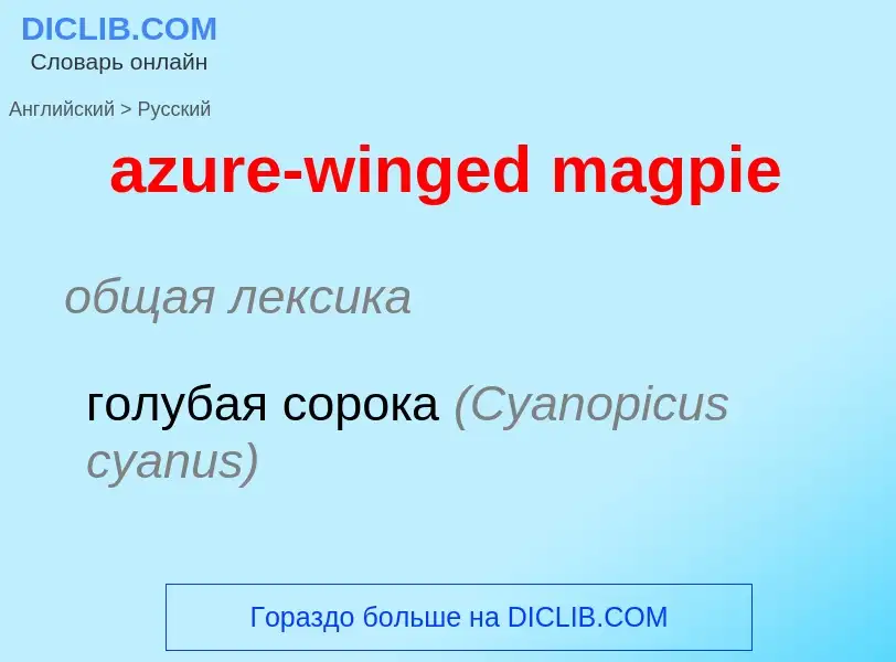 Vertaling van &#39azure-winged magpie&#39 naar Russisch