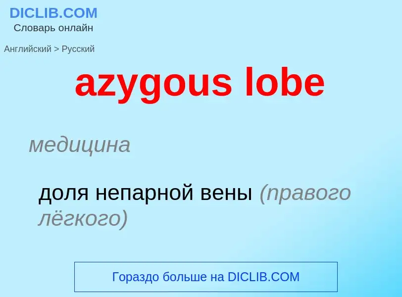 Как переводится azygous lobe на Русский язык