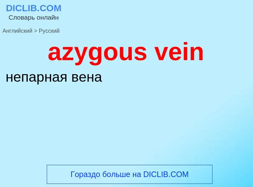 Как переводится azygous vein на Русский язык