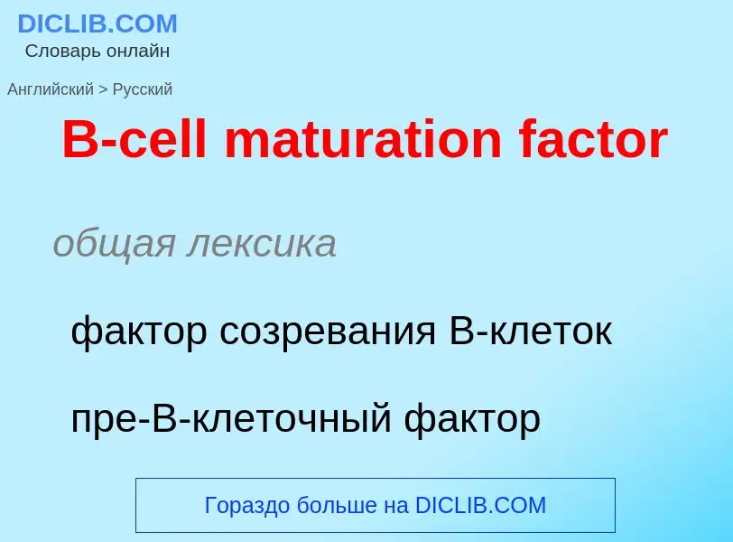 Μετάφραση του &#39B-cell maturation factor&#39 σε Ρωσικά