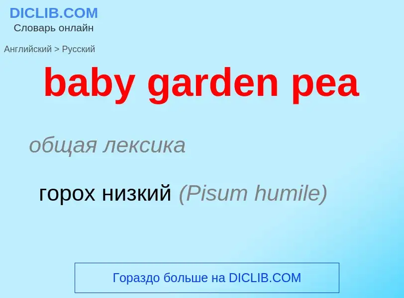 Vertaling van &#39baby garden pea&#39 naar Russisch