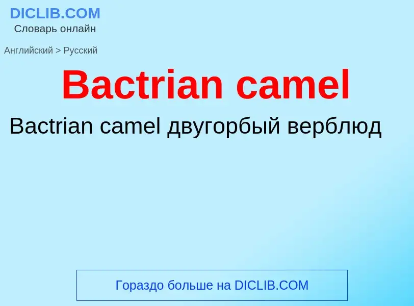 Como se diz Bactrian camel em Russo? Tradução de &#39Bactrian camel&#39 em Russo