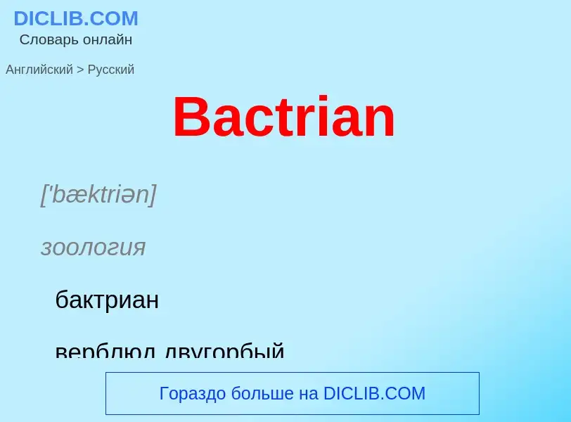 Como se diz Bactrian em Russo? Tradução de &#39Bactrian&#39 em Russo