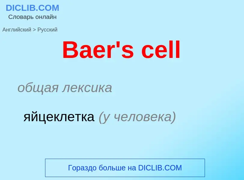 Como se diz Baer's cell em Russo? Tradução de &#39Baer's cell&#39 em Russo