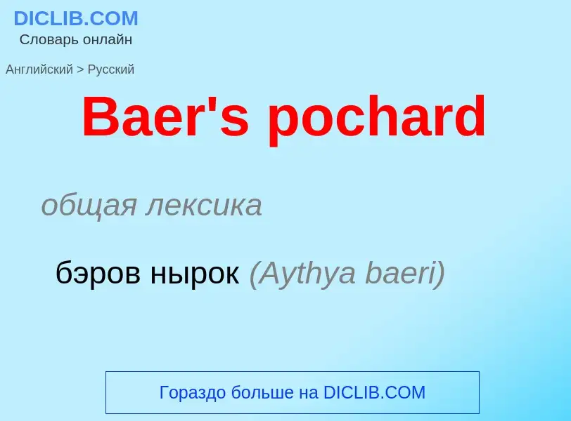 Как переводится Baer's pochard на Русский язык