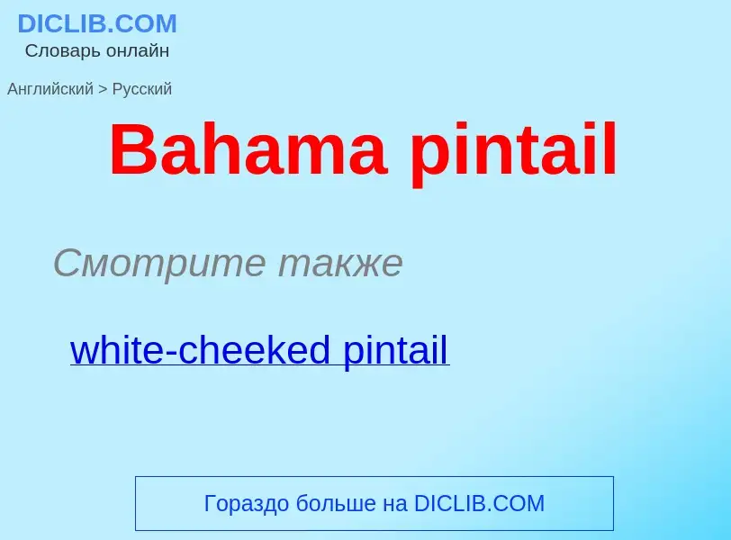 Como se diz Bahama pintail em Russo? Tradução de &#39Bahama pintail&#39 em Russo