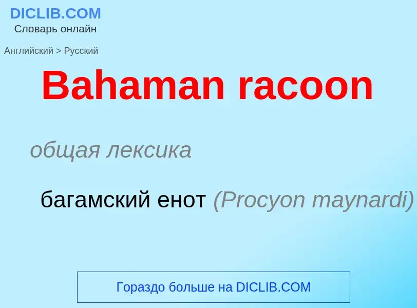 Como se diz Bahaman racoon em Russo? Tradução de &#39Bahaman racoon&#39 em Russo