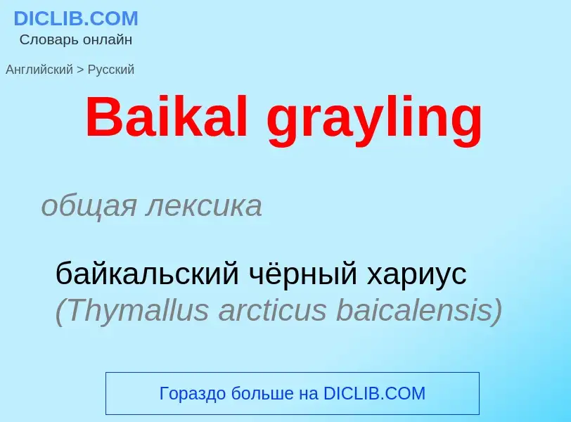 Como se diz Baikal grayling em Russo? Tradução de &#39Baikal grayling&#39 em Russo