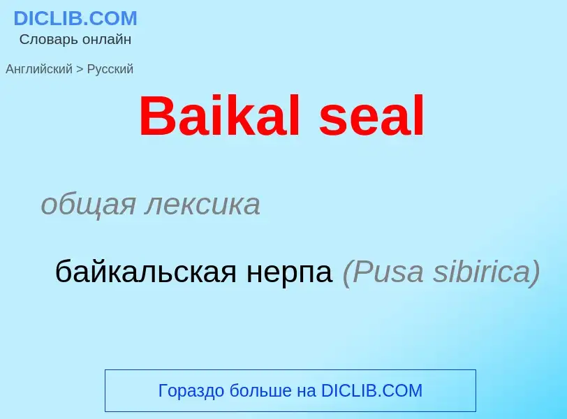 Como se diz Baikal seal em Russo? Tradução de &#39Baikal seal&#39 em Russo