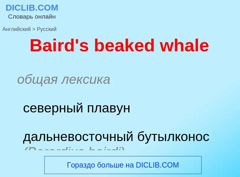 Como se diz Baird's beaked whale em Russo? Tradução de &#39Baird's beaked whale&#39 em Russo