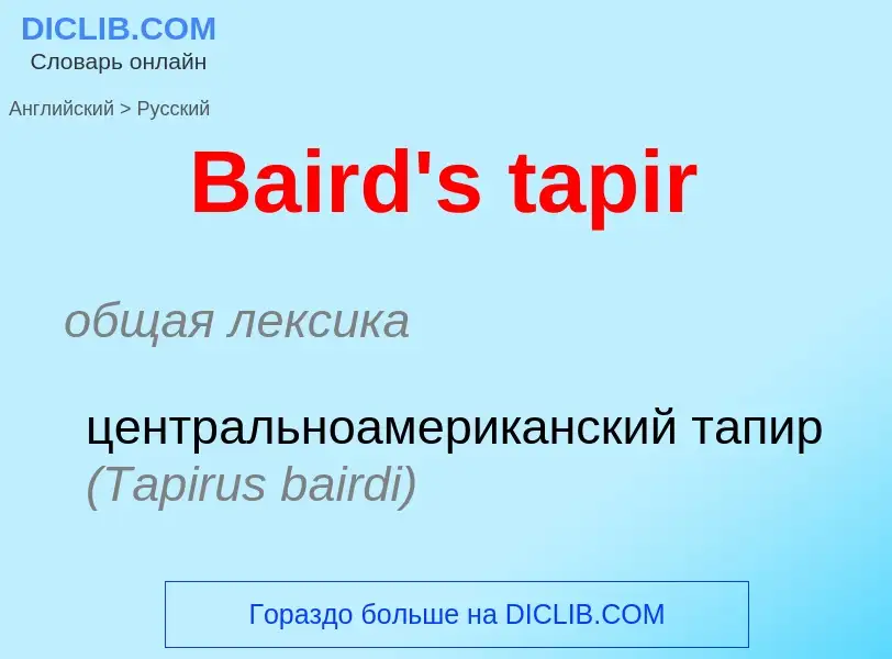 Как переводится Baird's tapir на Русский язык