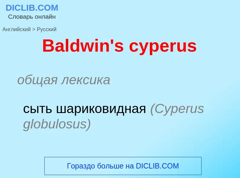 Как переводится Baldwin's cyperus на Русский язык