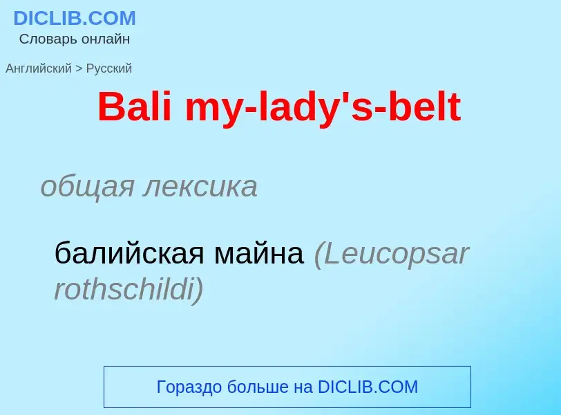 Как переводится Bali my-lady's-belt на Русский язык