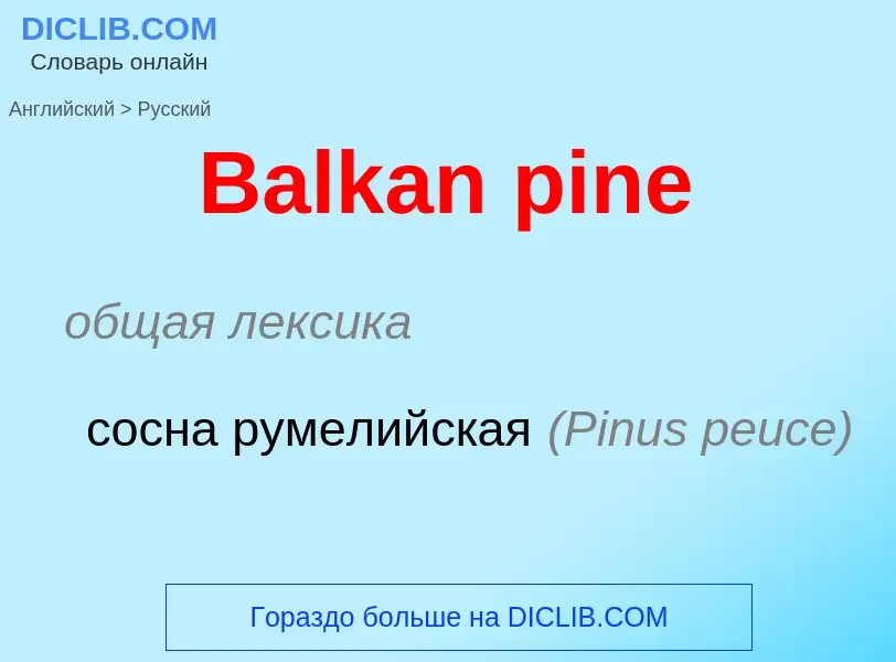 Как переводится Balkan pine на Русский язык