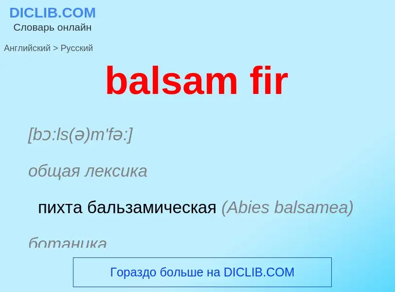 Como se diz balsam fir em Russo? Tradução de &#39balsam fir&#39 em Russo