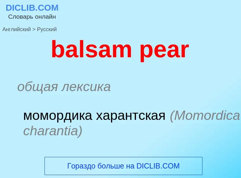 Как переводится balsam pear на Русский язык