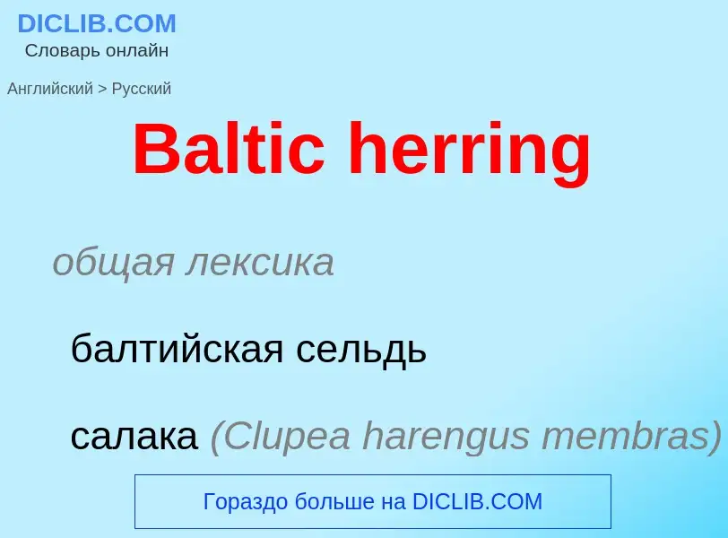 Как переводится Baltic herring на Русский язык