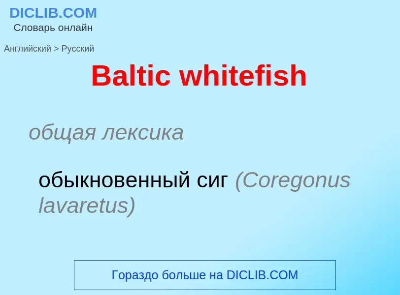 Как переводится Baltic whitefish на Русский язык