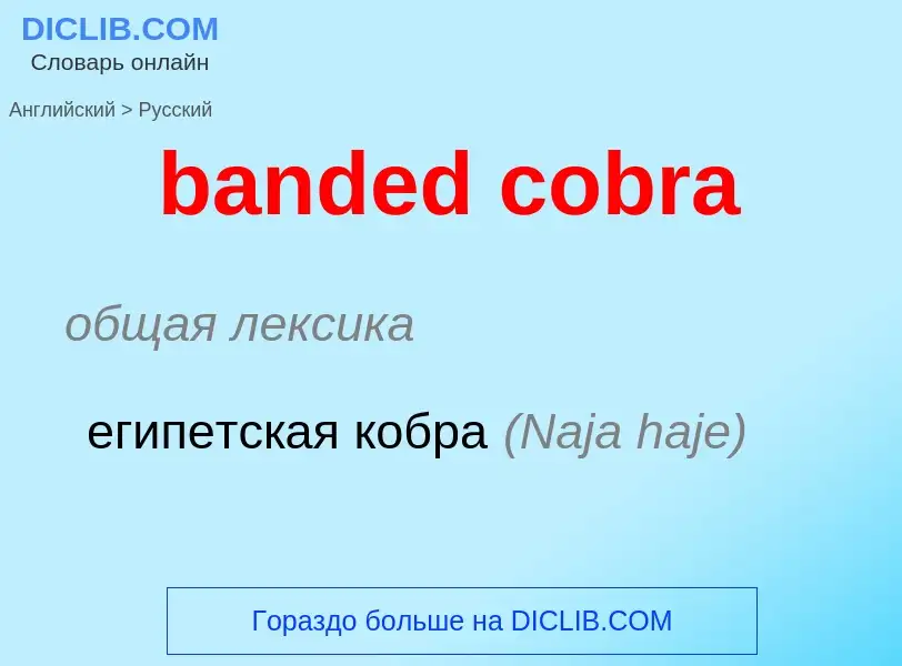 ¿Cómo se dice banded cobra en Ruso? Traducción de &#39banded cobra&#39 al Ruso