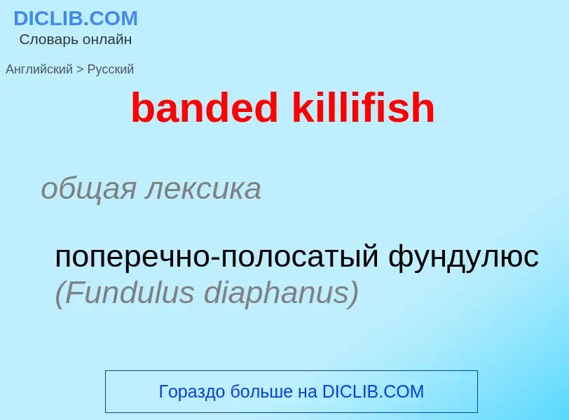 ¿Cómo se dice banded killifish en Ruso? Traducción de &#39banded killifish&#39 al Ruso