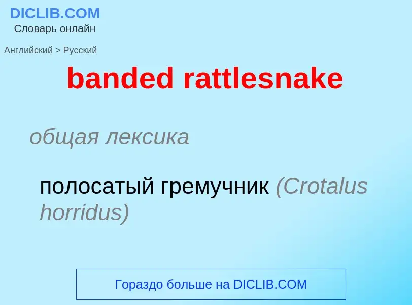 What is the Russian for banded rattlesnake? Translation of &#39banded rattlesnake&#39 to Russian