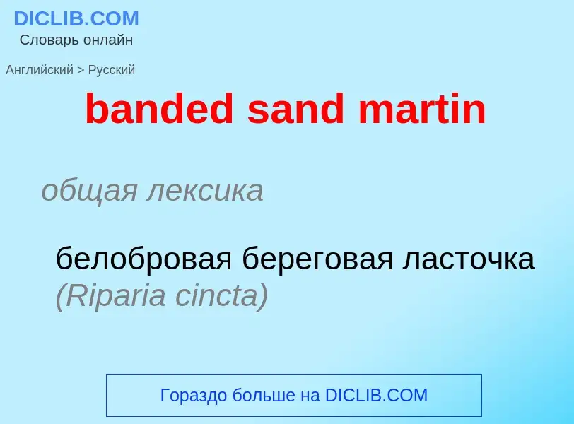 Как переводится banded sand martin на Русский язык