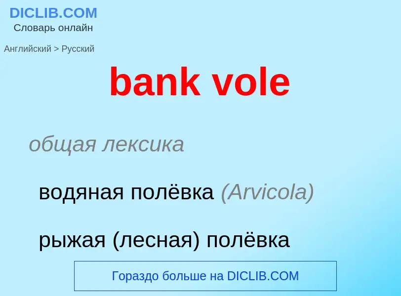 ¿Cómo se dice bank vole en Ruso? Traducción de &#39bank vole&#39 al Ruso