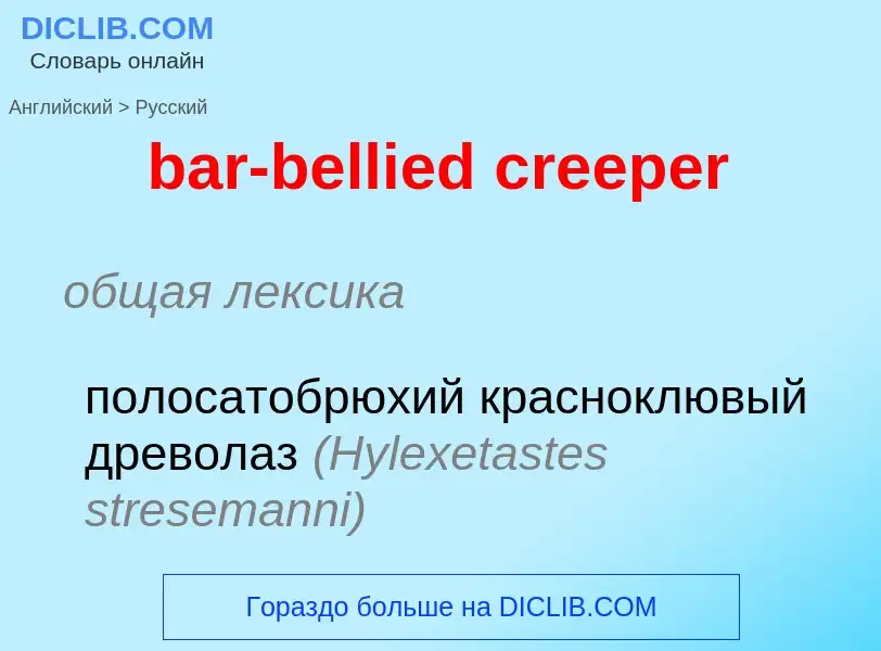 Μετάφραση του &#39bar-bellied creeper&#39 σε Ρωσικά