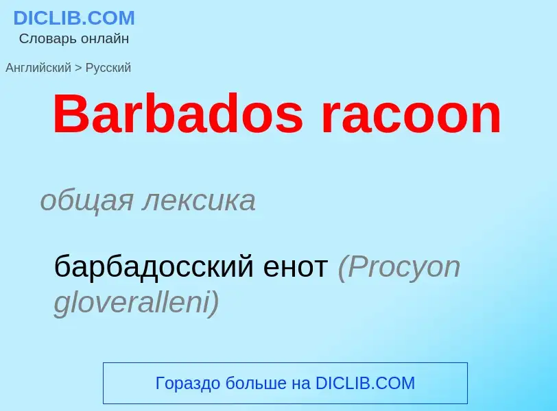 Como se diz Barbados racoon em Russo? Tradução de &#39Barbados racoon&#39 em Russo