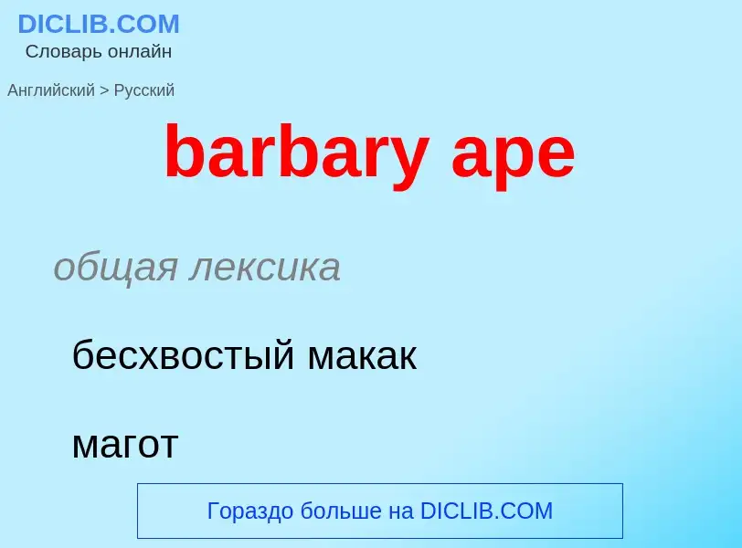 Как переводится barbary ape на Русский язык