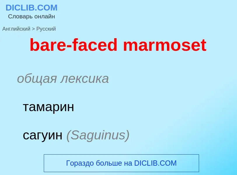 Как переводится bare-faced marmoset на Русский язык