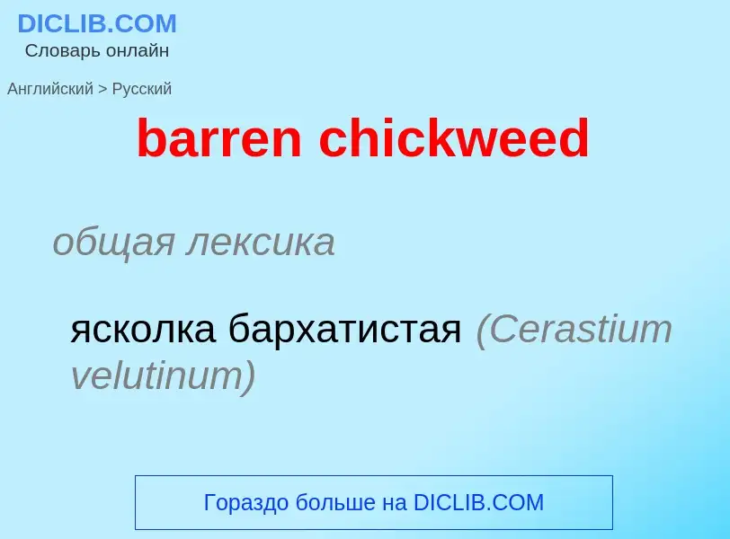 Vertaling van &#39barren chickweed&#39 naar Russisch