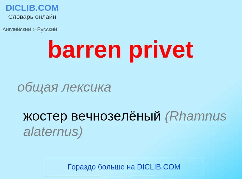 ¿Cómo se dice barren privet en Ruso? Traducción de &#39barren privet&#39 al Ruso