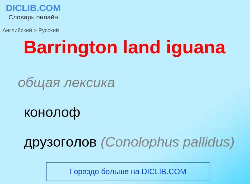 Как переводится Barrington land iguana на Русский язык