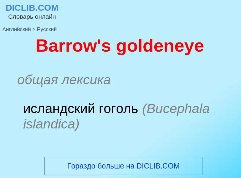 Como se diz Barrow's goldeneye em Russo? Tradução de &#39Barrow's goldeneye&#39 em Russo