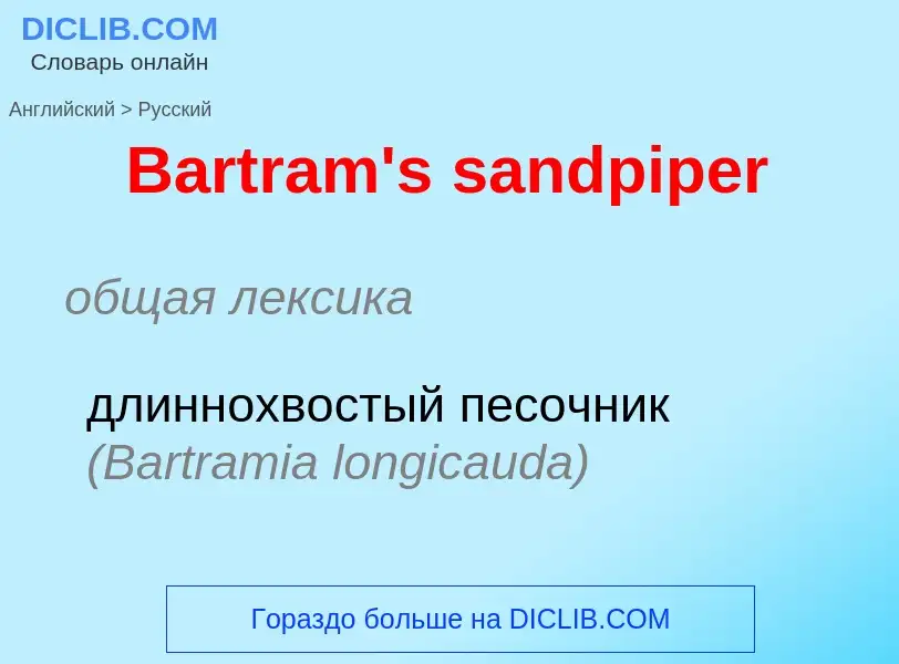 Как переводится Bartram's sandpiper на Русский язык